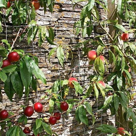Bed and Breakfast The Old Rectory Boscastle Exterior foto
