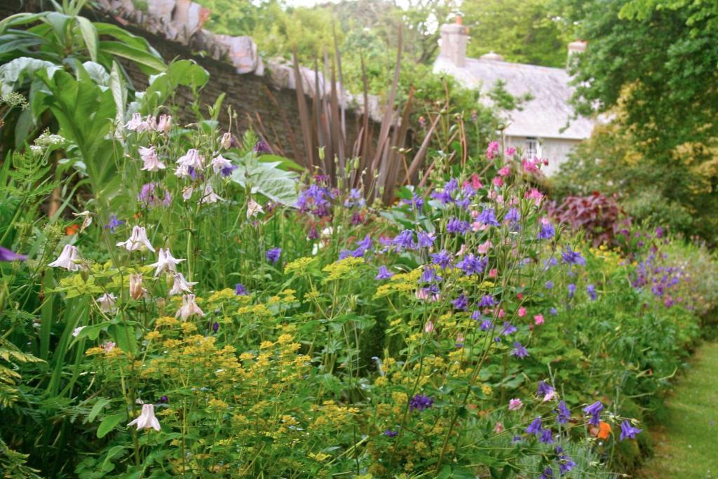 Bed and Breakfast The Old Rectory Boscastle Exterior foto